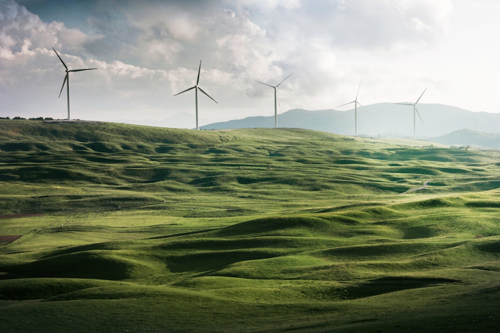 wind turbine surrounded by grass