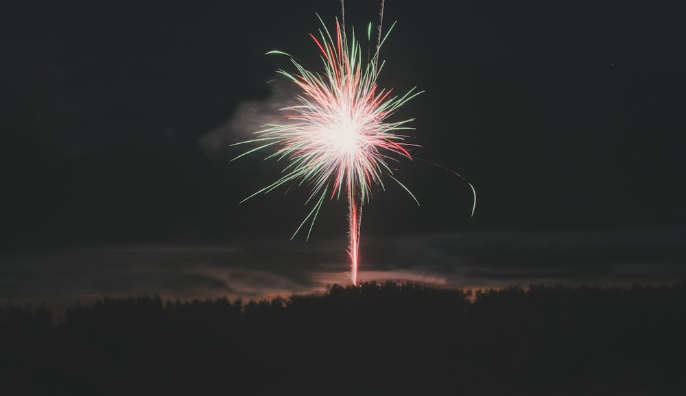 lunga esposizione di fuochi d'artificio