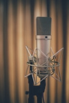 gray condenser microphone