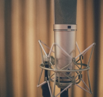 gray condenser microphone