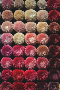Bright pompoms arranged in a playful pattern on textile.