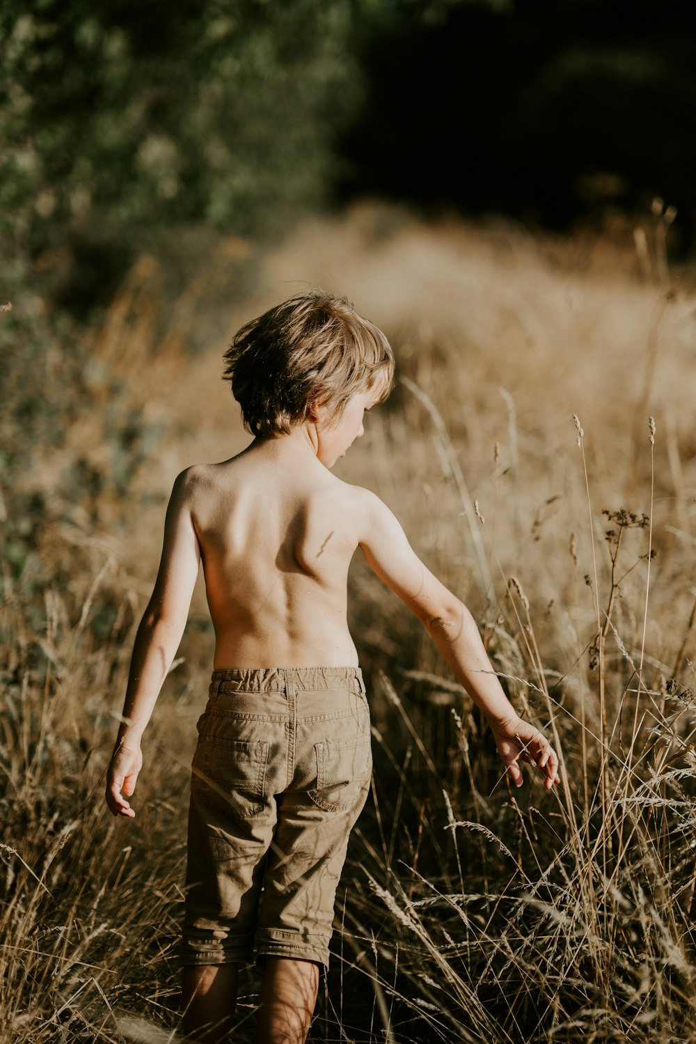 boy holding brown grasses