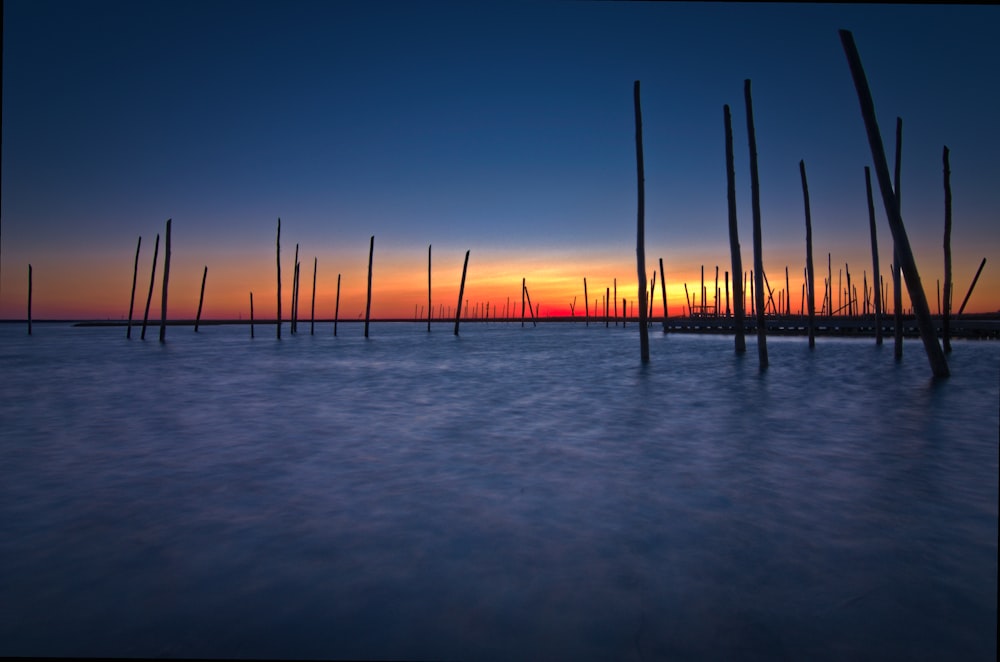 body of water with wooden sticks