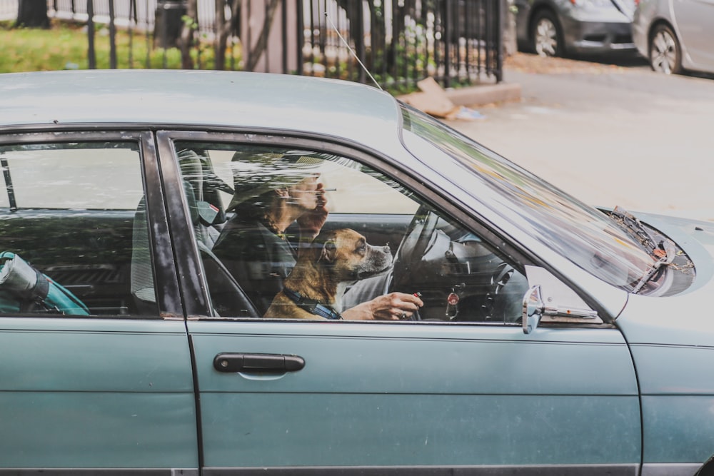 person driving a car