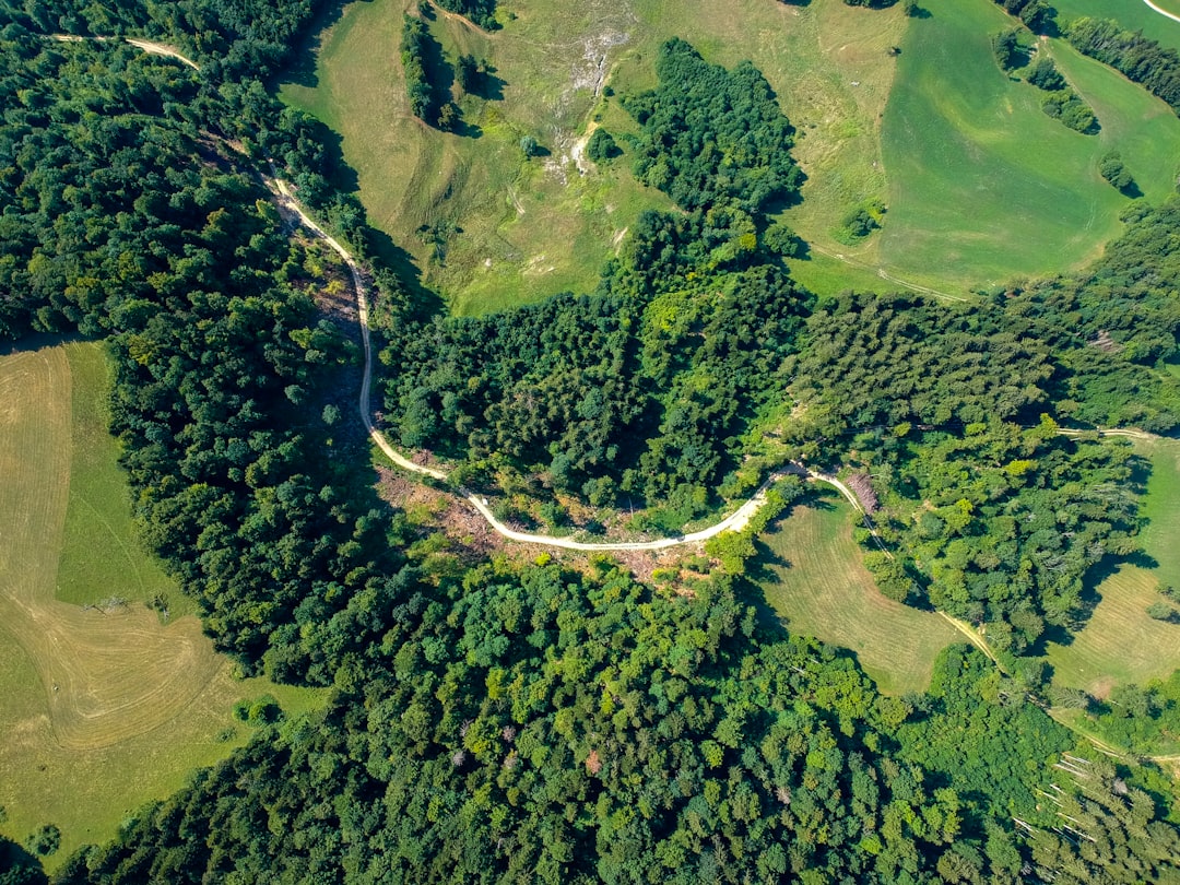 aerial-view of white road surrounded by green trees and grass field