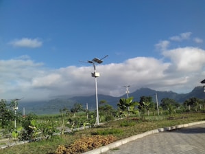 A scenic view featuring a well-maintained park with neatly arranged plants and bushes in the foreground. Solar-powered street lights are evenly spaced along a paved path. In the background, lush green hills are partially shrouded by low-lying clouds under a vibrant blue sky.