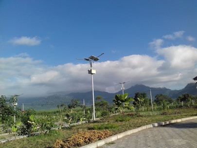 A scenic view featuring a well-maintained park with neatly arranged plants and bushes in the foreground. Solar-powered street lights are evenly spaced along a paved path. In the background, lush green hills are partially shrouded by low-lying clouds under a vibrant blue sky.