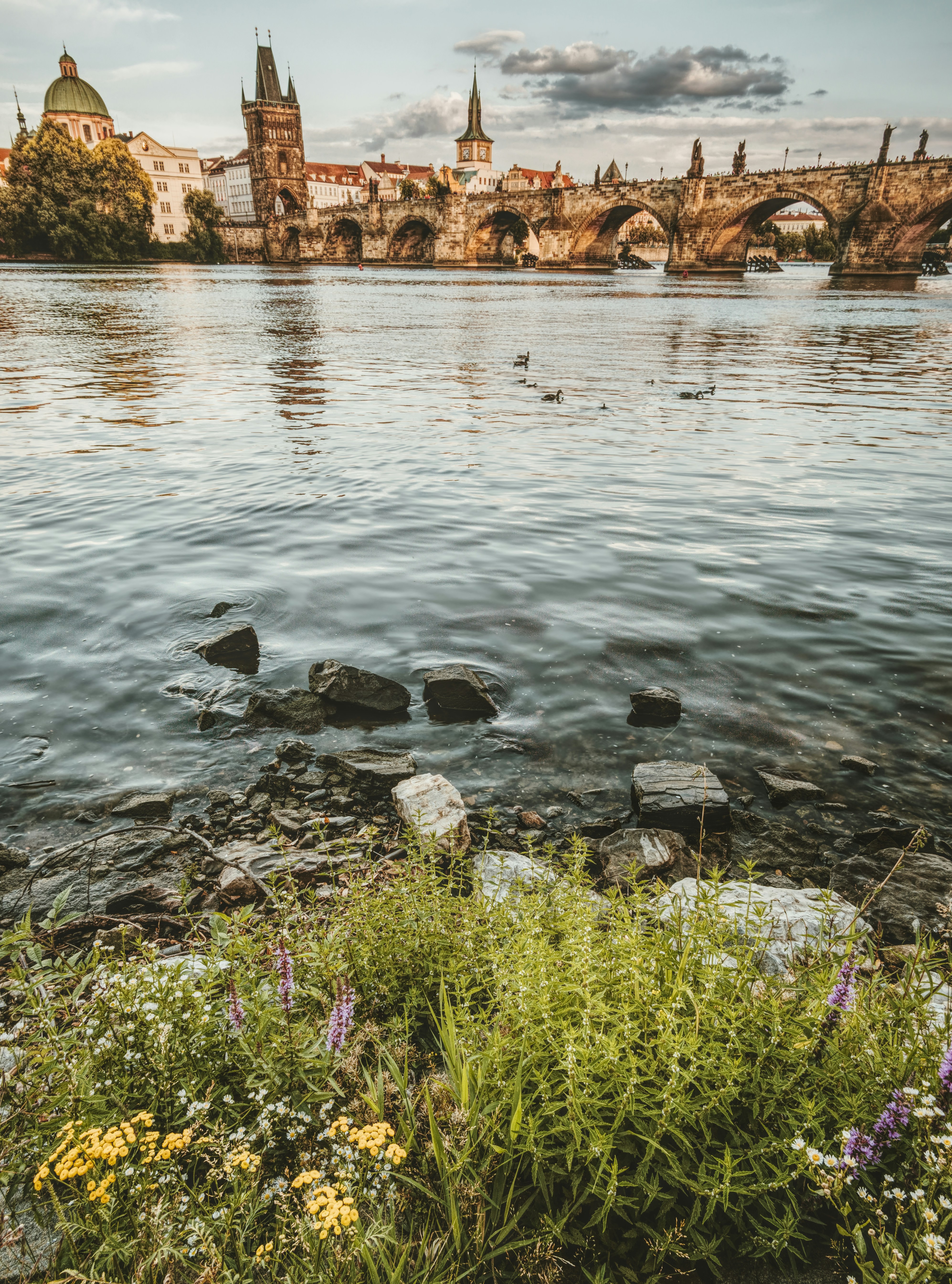 Прага столица чехии. Река в праге с карловым мостом. Прага рассвет. Река в праге. Каменцевое море чехия.