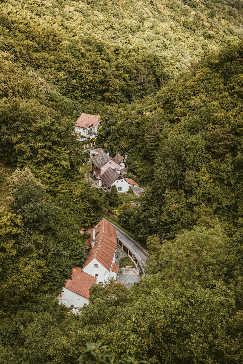 aerial view of house on forest