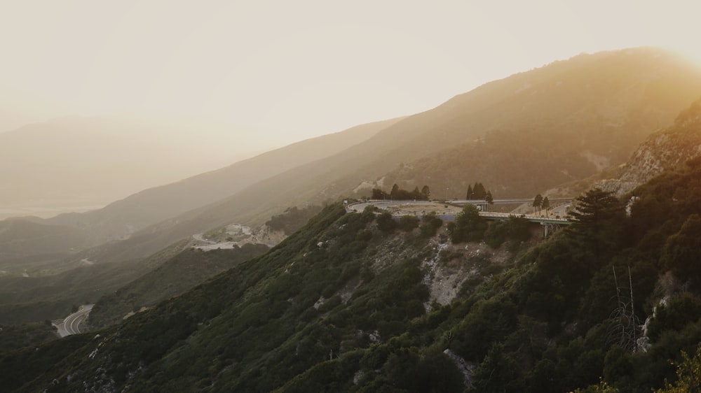 mountain cover by trees