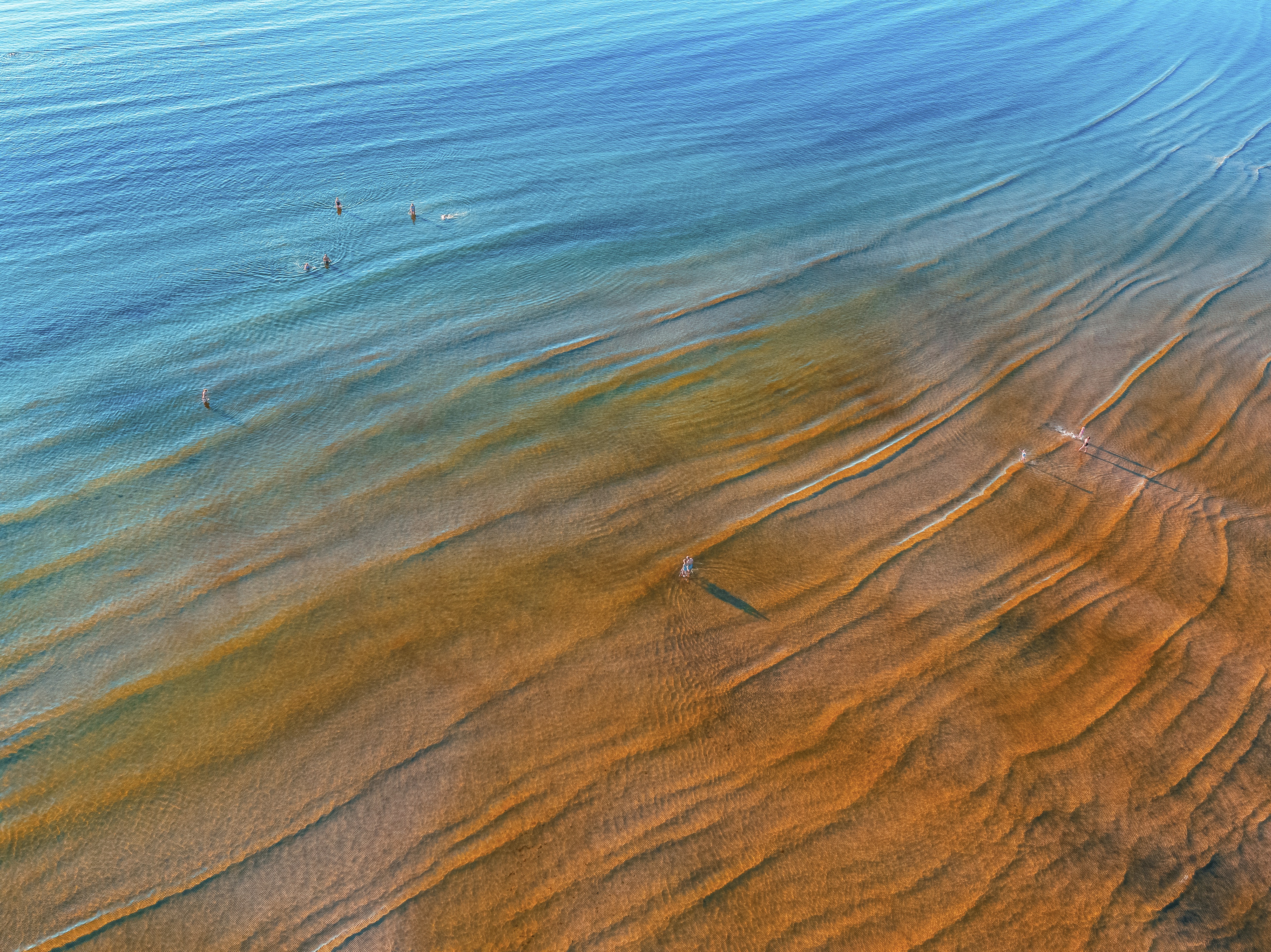 Decentralized Machine Learning Protocol header image