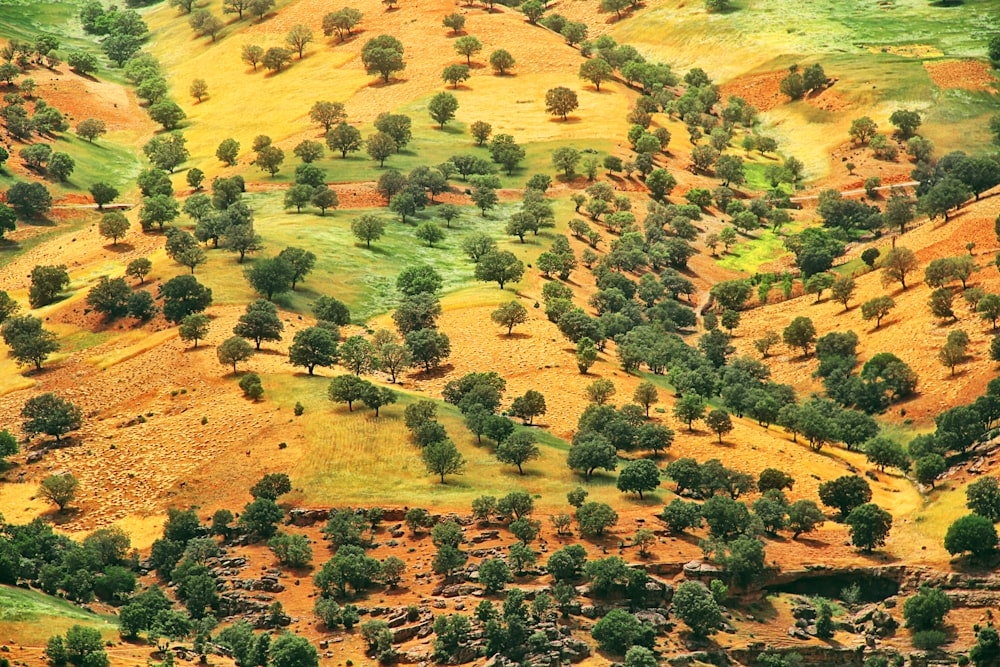 green trees