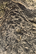 An intricate pattern of dark, wavy lines and lighter sandy textures reminiscent of rugged, natural rock formations. There is a combination of earthy tones, with the swirling dark patterns creating a sense of movement and complexity across the surface.