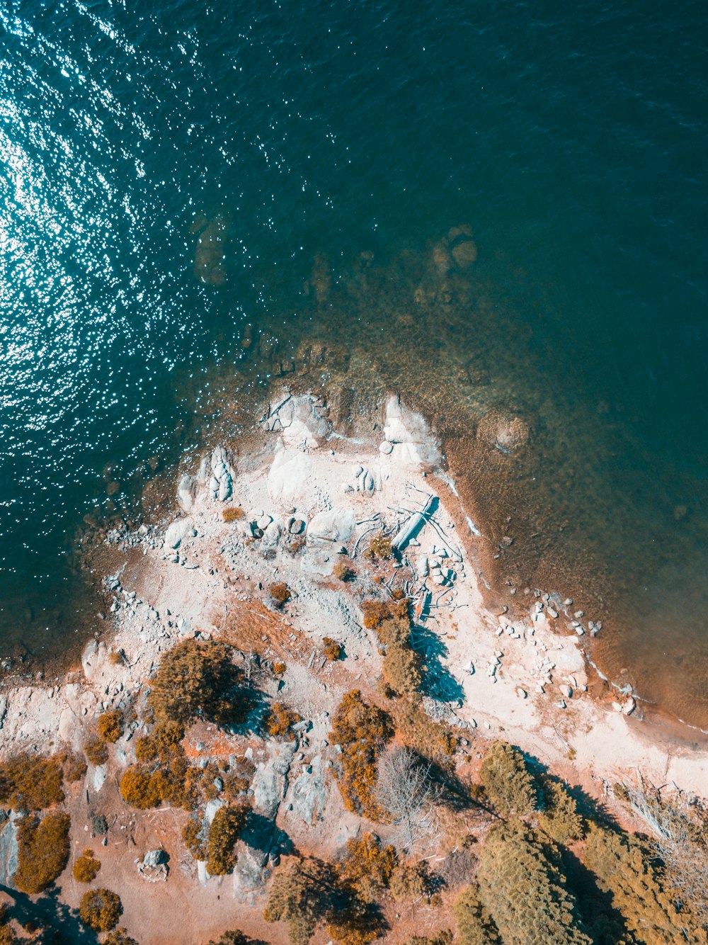 aerial photography of island