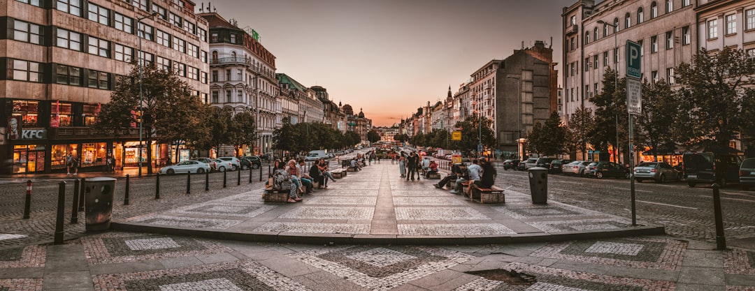 people gathering on park at daytime