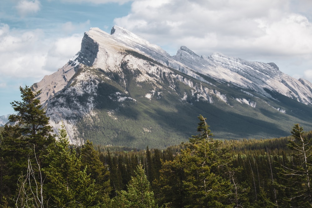 green and white mountain at daytime