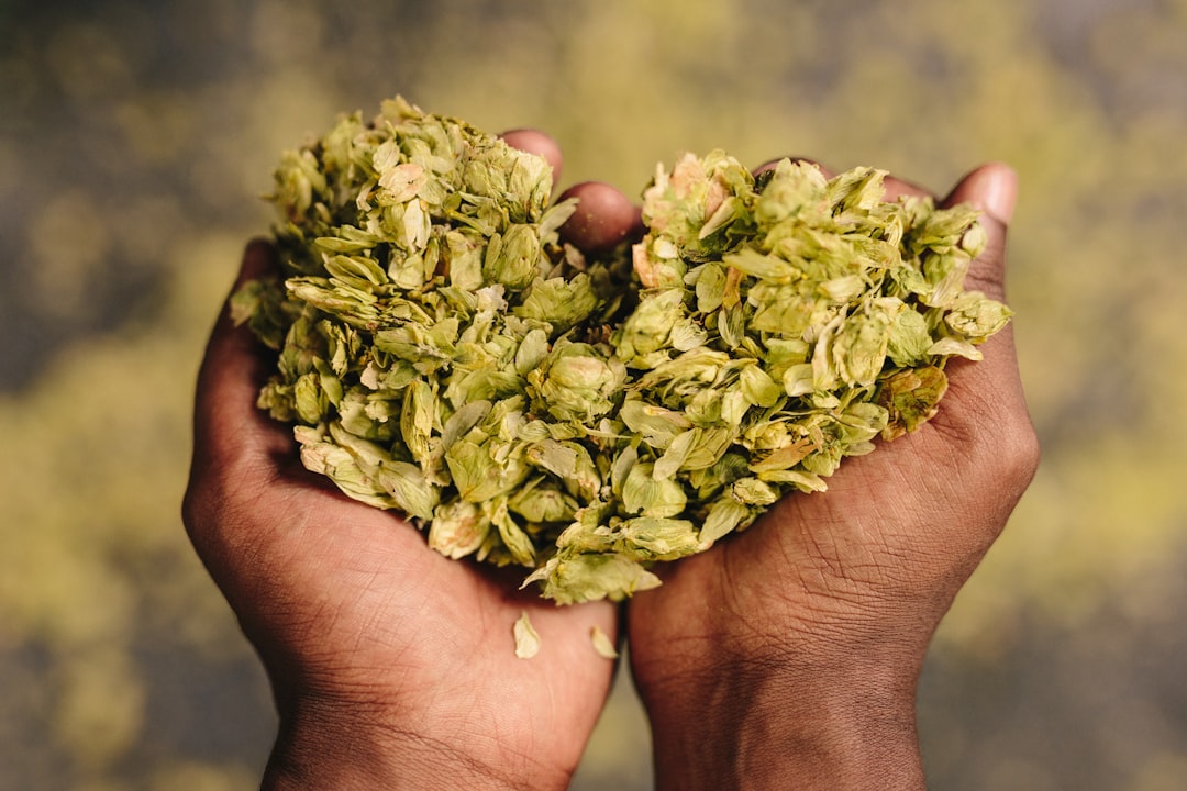 handful of green leaves