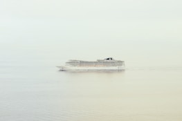 An elegant cruise ship sailing on calm waters.