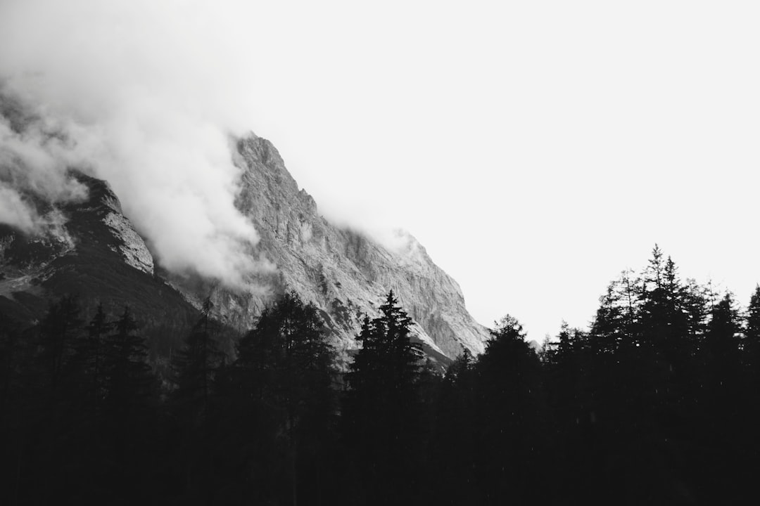 Черно белый лес и горы