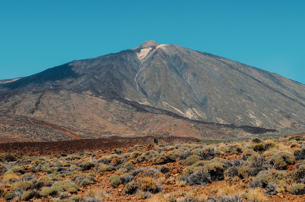 gray and brown mountain