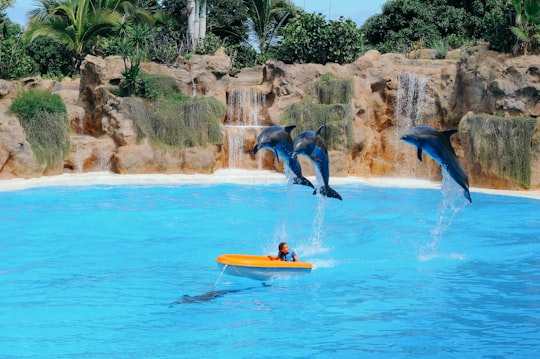 Loro Parque things to do in Boca Tauce