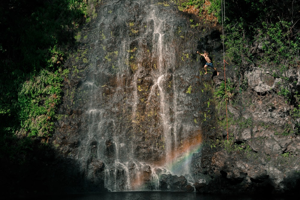 waterfalls with trees and grasses