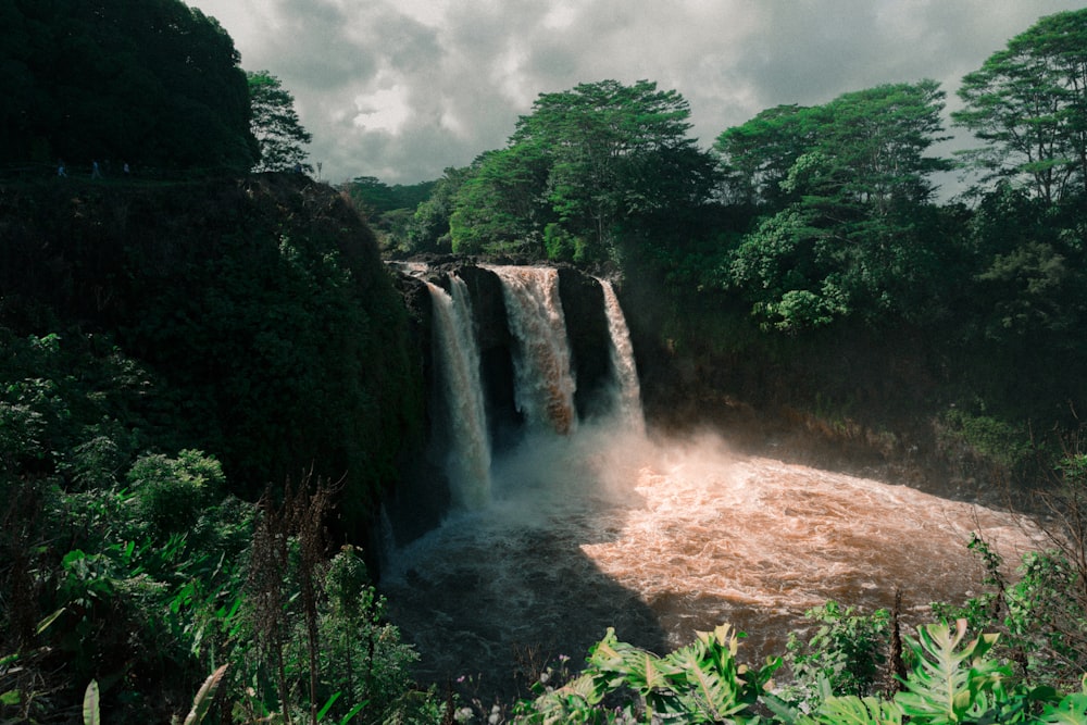 time lapse photo of waterfalls between the trees