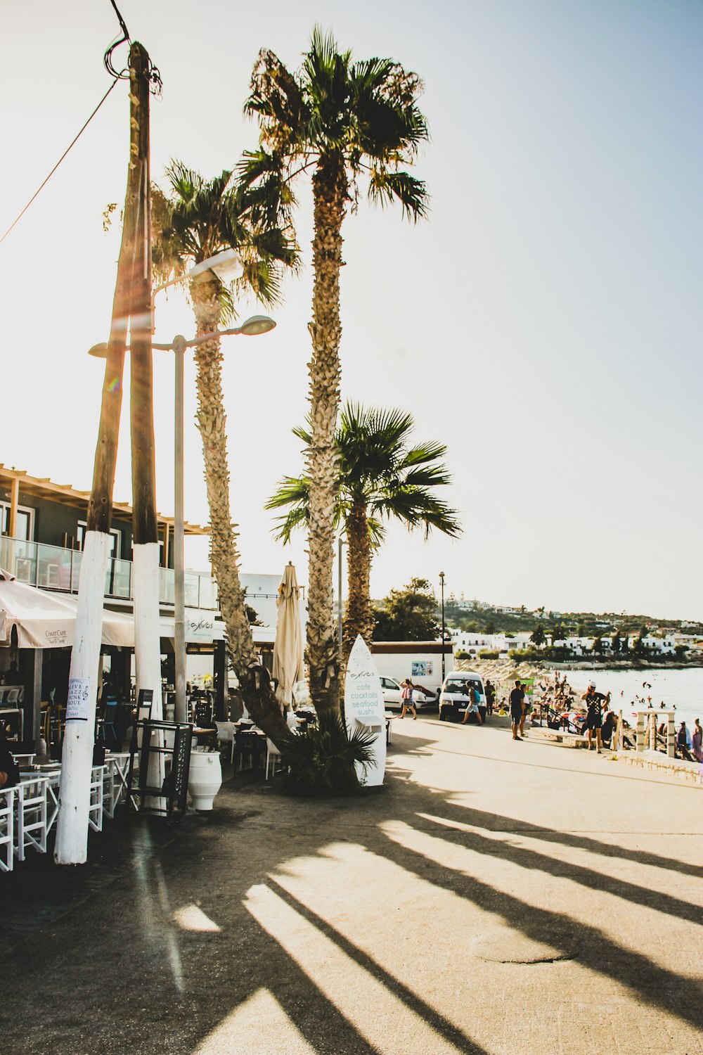 white surfboard leaning on palm tree