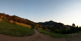 A scenic landscape featuring a dirt trail leading into a lush, green forested area with rolling hills. Trees line the path, with some areas receiving the warm glow of the setting sun, casting long shadows. The sky is clear with a subtle gradient from blue to light yellow, suggesting that it is either sunrise or sunset.
