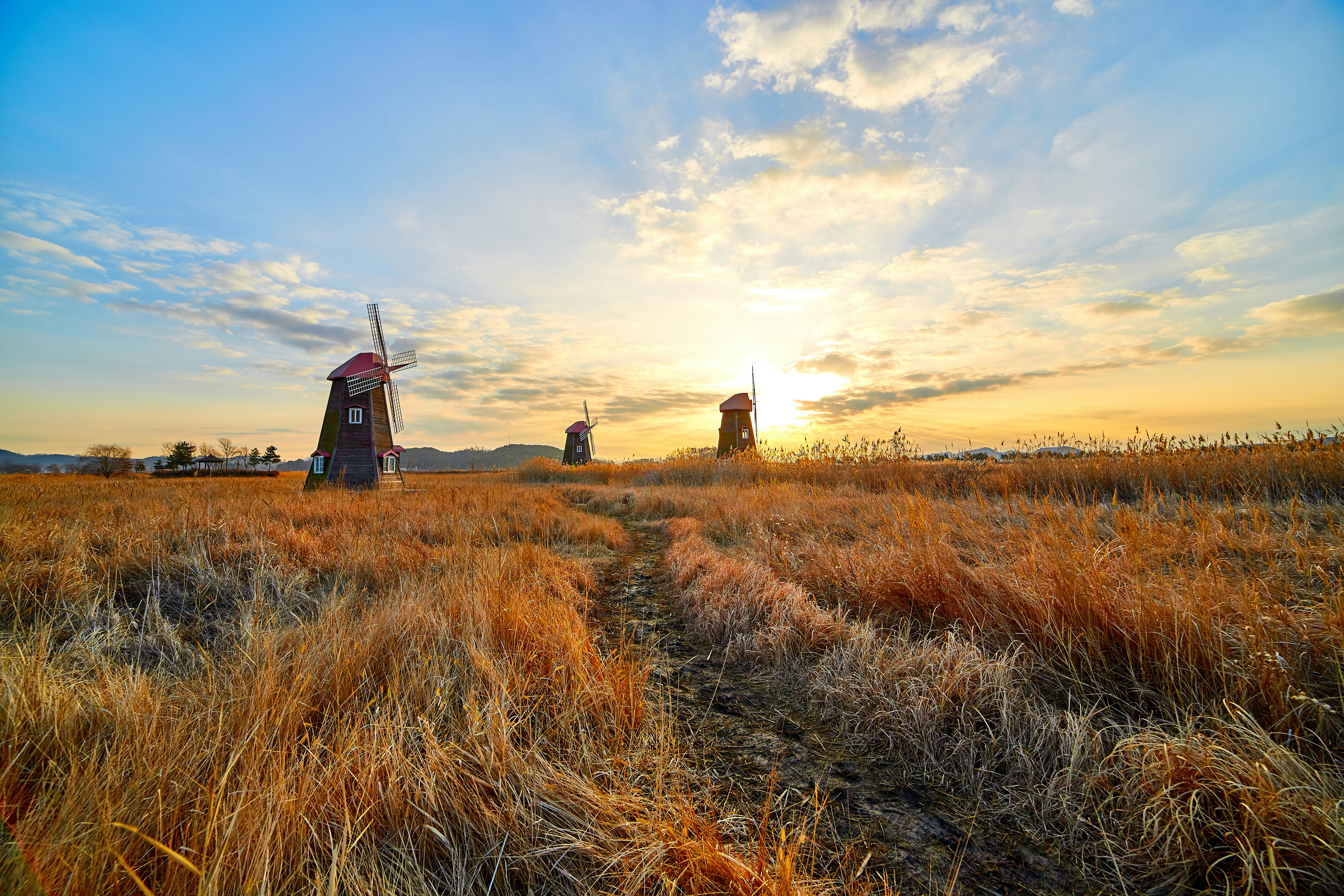 Incheon, South Korea - Not too far from the international airport, these windmills exist in an old salt farm.