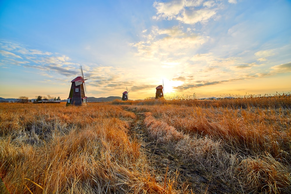 red and brown windmill on brown field