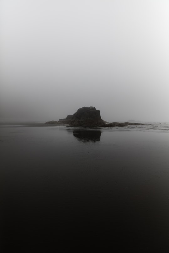 silhouette of rock formation in front of body of water in Ruby Beach United States