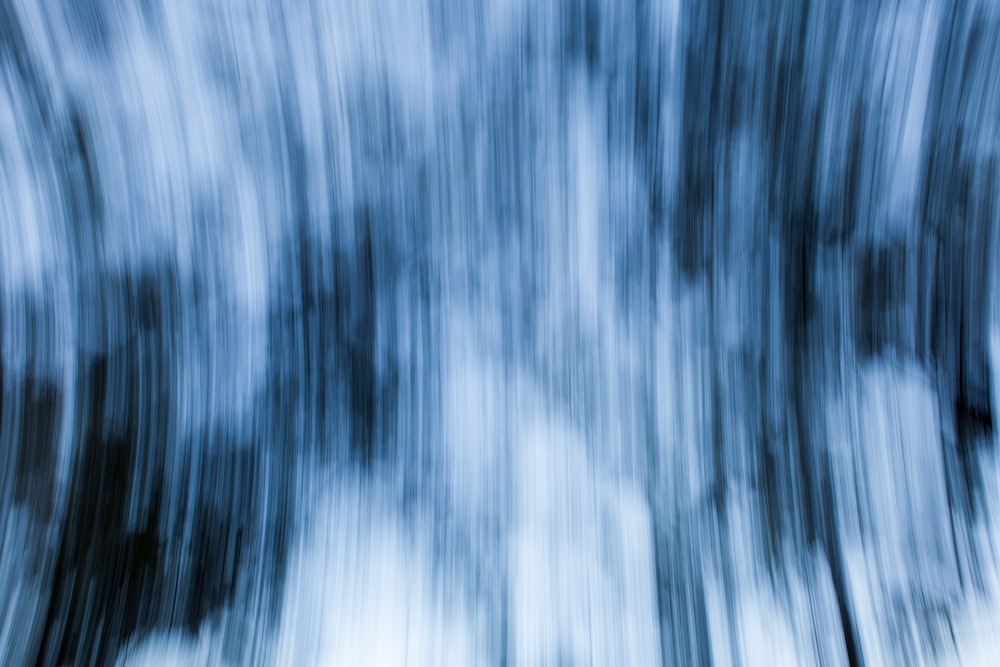 a blurry photo of trees in a forest