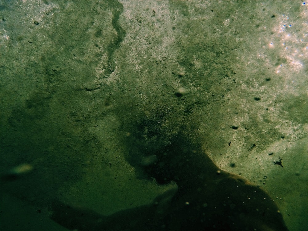 fotografia subaquática