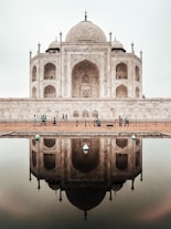 brown painted mosque during daytime