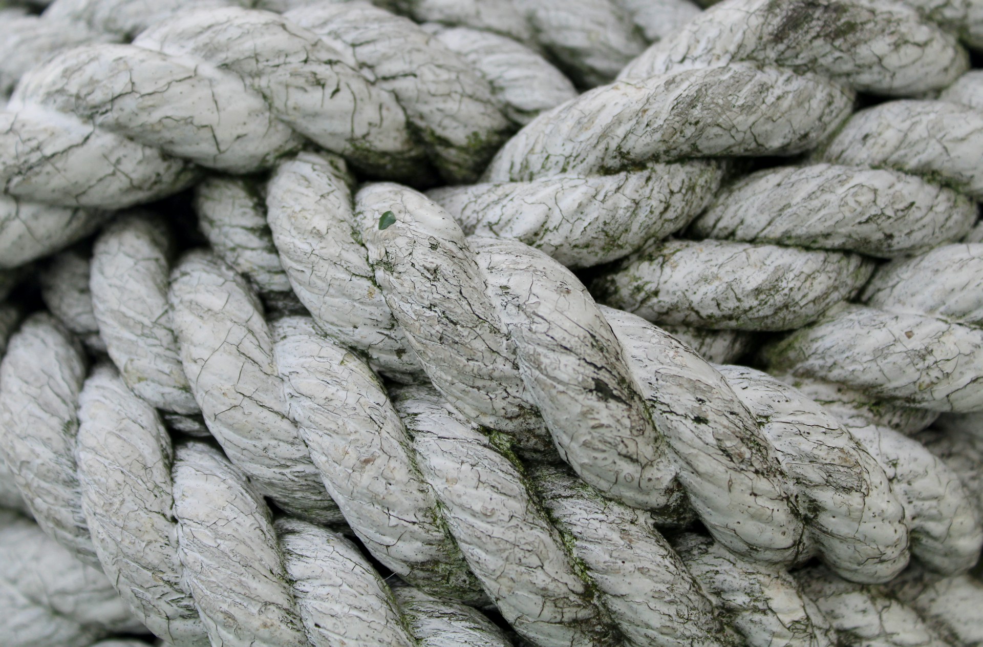 close-up photo of gray rope