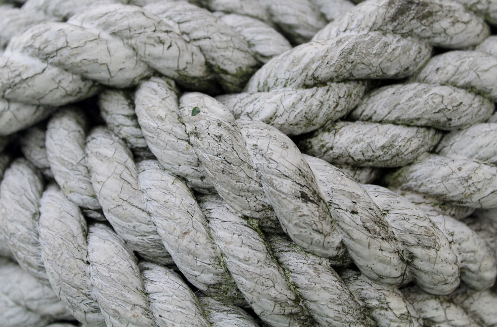 close-up photo of gray rope