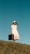 woman standing on green grass holding brown leather suitcase wearing white button-up dress