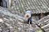 A person wearing a wide-brimmed straw hat is working on repairing or inspecting a roof made up of traditional grey tiles. The roof tiles are arranged in an overlapping pattern and show various shades of grey, with patches of moss or discoloration.