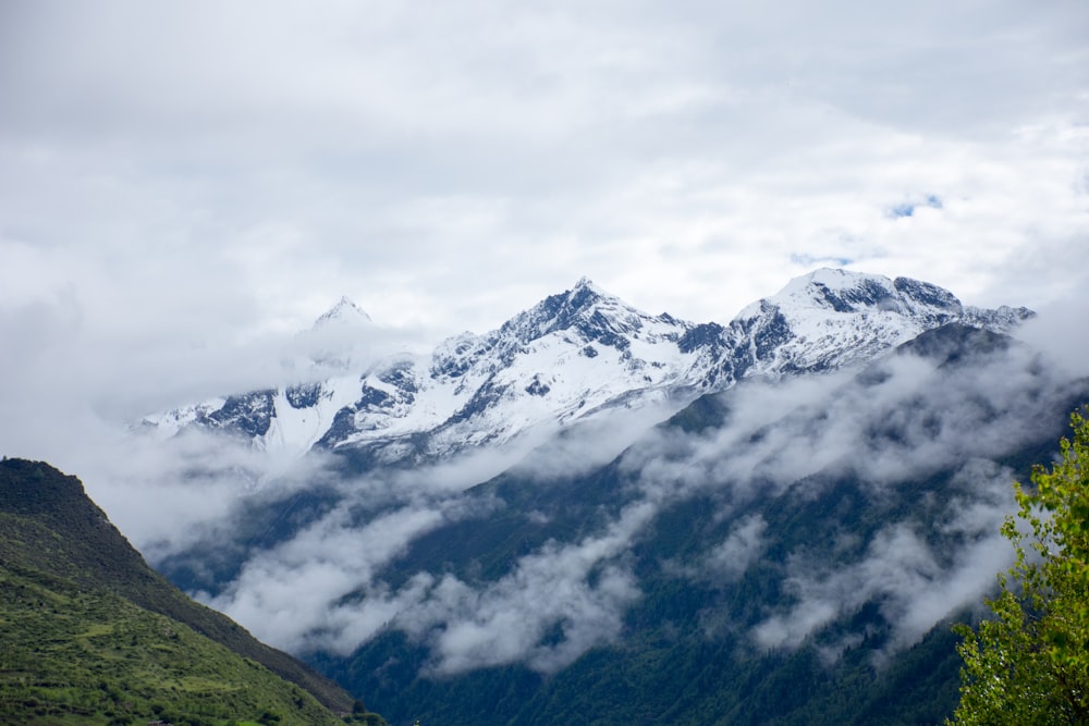 mountain covered with fog