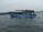 A blue motorboat with a green canopy is carrying several people across a body of water. The boat appears to be moving steadily with visible water ripples around it. In the background, a distant shoreline with trees is visible under an overcast sky.