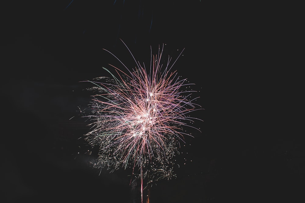 purple fireworks