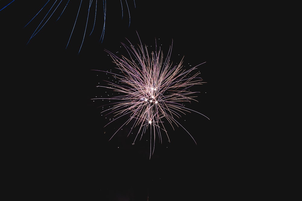 fireworks display ]