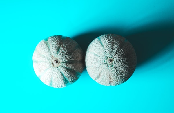 Two grey fruits