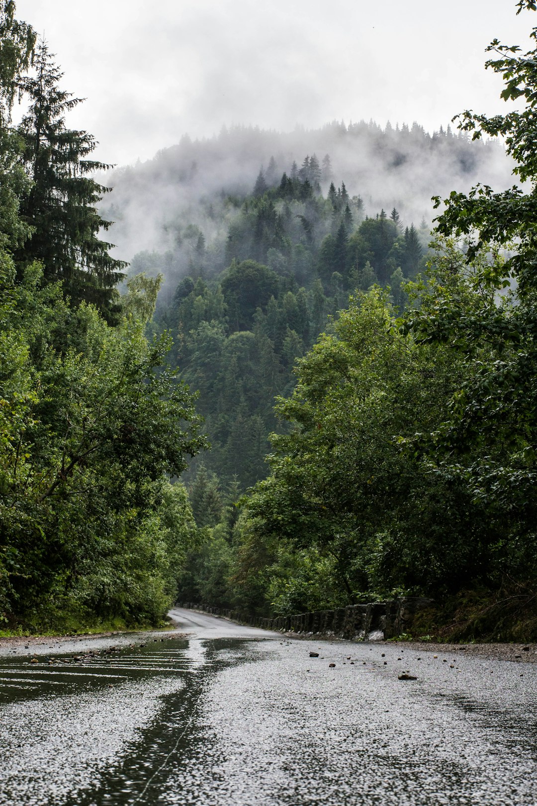 Highland photo spot BÄƒiÈ™oara Romania