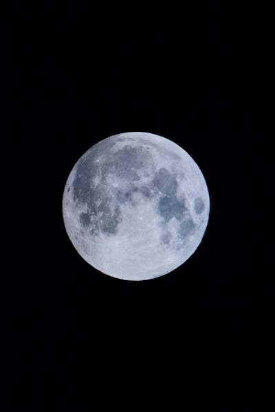 Pleine lune au-dessus d'un jardin potager la nuit, ambiance magique et naturelle