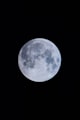 Bulan Sabit Dekorasi