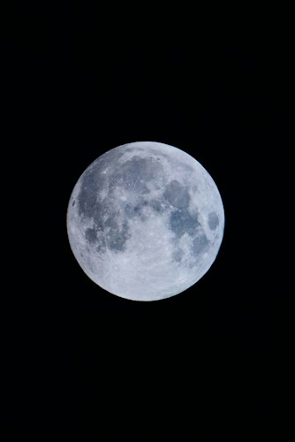 Islamic Astrologer consultation