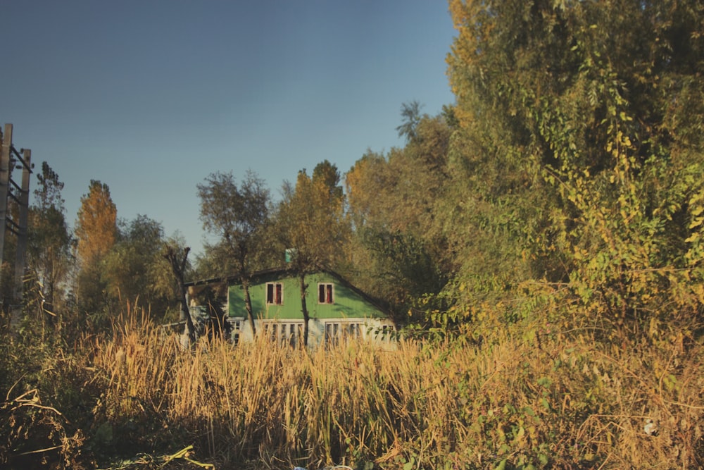 green bungalow surrounded by corn fields