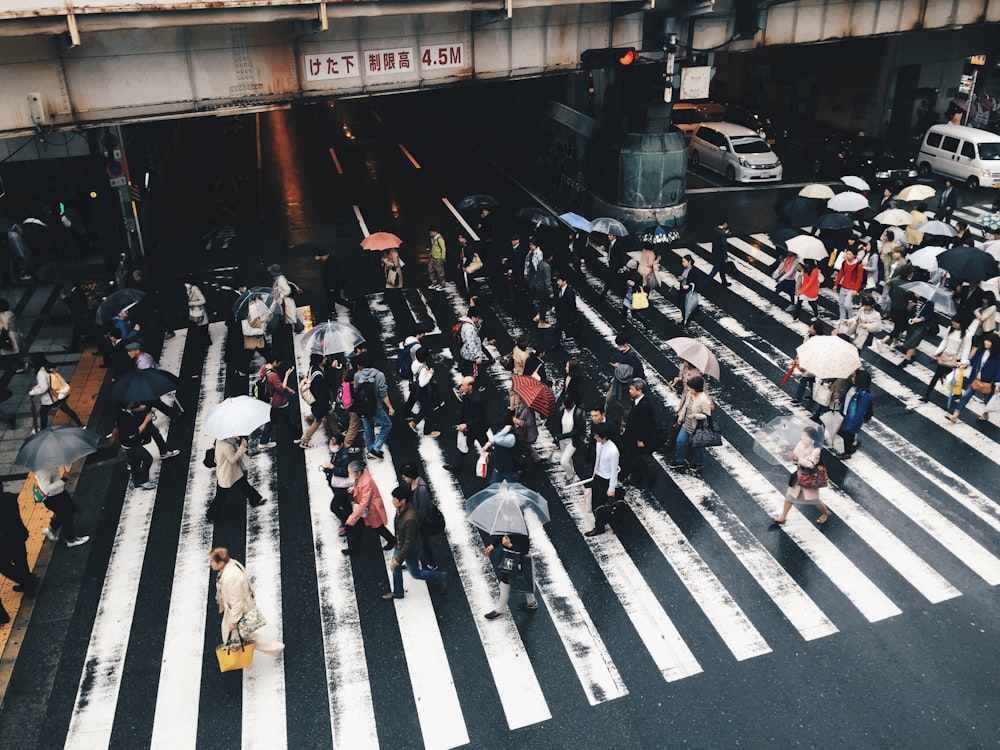 people crossing on pedestrian lane while raining